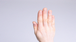 Photograph of person's hand up with all fingers straight up