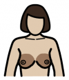 widgit symbol highlighting the breast area