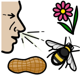 Widgit symbol of allergies
