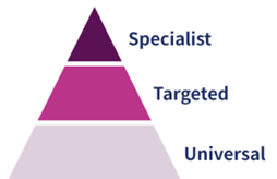 A pyramid to show the specialist, targeted and universal support.